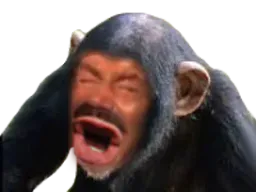 :Singes: