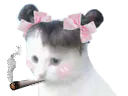 :chat_couette_joint_allumer: