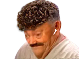 :Vieux_jeune: