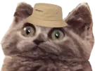 :CHAT_BOB: