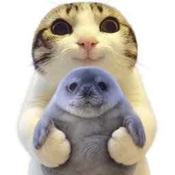 :chat_marrant_deter: