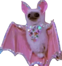 :Discobat: