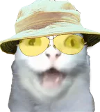 :chas_vegas_2: