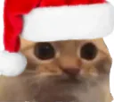 :chat_limite_noel: