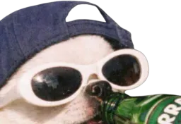 :doggo_binouse: