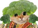 :Brocoli_mexicain: