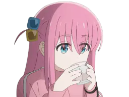 :bocchiboire: