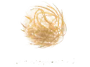 :boule: