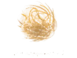 :boule: