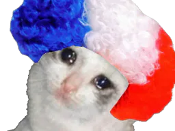 :chatriste_perruque: