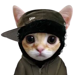 :yeat2: