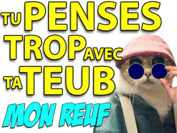 :bitecerveau: