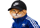 :Chat_desert_chance: