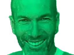 :zidane_vert: