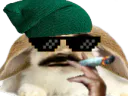 :Lapin_thug: