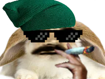 :Lapin_thug: