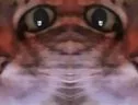 :chat_moche2: