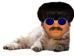 :risichat: