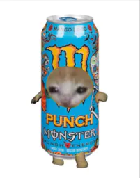 :chatlcoo: