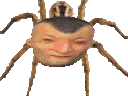 :ADZ:
