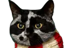 :Chat-Triss4: