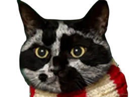 :Chat-Triss4: