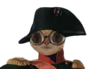 :chat_lunettes_napoleon: