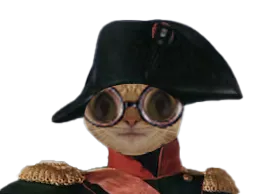 :chat_lunettes_napoleon: