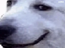 :ChienBouge1: