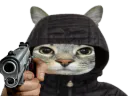:CS_Flingue: