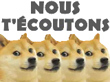 :chiens_ecoute: