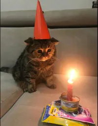 :Channiversaire: