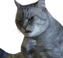 :Chatdeg: