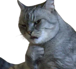 :Chatdeg: