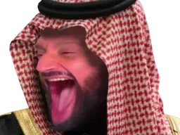 :hanouna_saoudien: