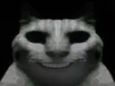 :chat_sombre_sourire:
