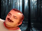 :Foret:
