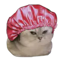 :Chatbrushingdouche: