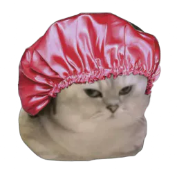 :Chatbrushingdouche: