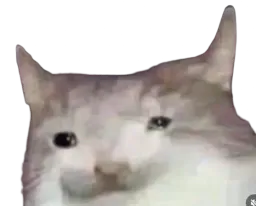 :Tristess: