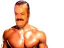 :risitas_go_muscu: