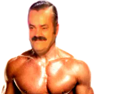 :risitas_go_muscu: