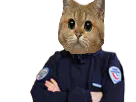 :sodium_gilbert3: