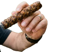 :cigananas: