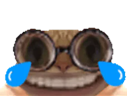 :chat_lunette_rire_gif: