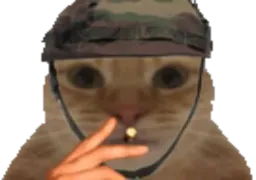 :Xhat_militaire: