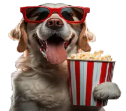 :chien_cinema: