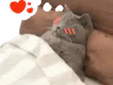 :Chadorlov: