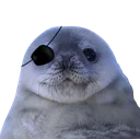 :phoquecacheoeil: