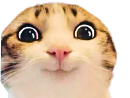 :Chat_Heureux: